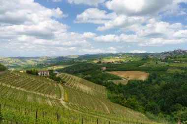 Dogliani, Cuneo ili yakınlarındaki Langhe 'de kırsal alan, Piedmont, İtalya, Unesco Dünya Mirası Bölgesi.