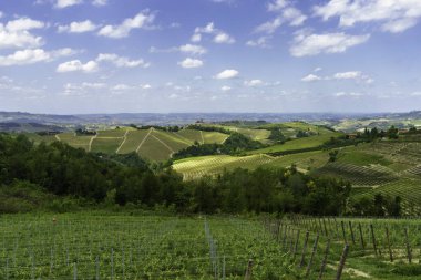 Dogliani, Cuneo ili yakınlarındaki Langhe 'de kırsal alan, Piedmont, İtalya, Unesco Dünya Mirası Bölgesi.