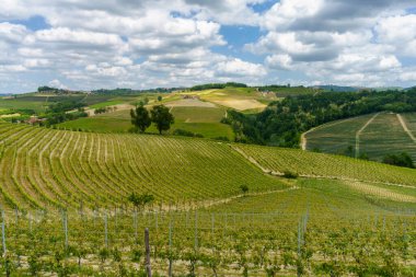 Dogliani, Cuneo ili yakınlarındaki Langhe 'de kırsal alan, Piedmont, İtalya, Unesco Dünya Mirası Bölgesi.