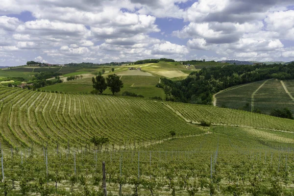 Сельский Пейзаж Весной Ланге Недалеко Дольяни Провинция Кунео Пьемонт Италия — стоковое фото