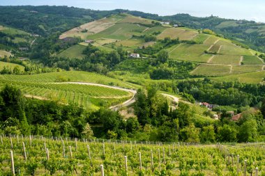 Diano, Cuneo vilayeti yakınlarındaki Langhe 'de kırsal alan, Piedmont, İtalya, Unesco Dünya Mirası Bölgesi.