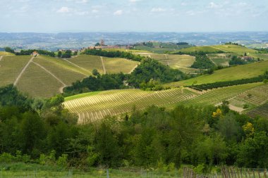 Dogliani, Cuneo ili yakınlarındaki Langhe 'de kırsal alan, Piedmont, İtalya, Unesco Dünya Mirası Bölgesi.