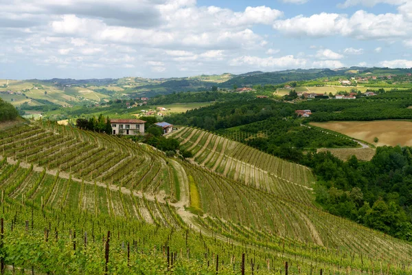 Paesaggio Rurale Primavera Nelle Langhe Vicino Dogliani Provincia Cuneo Piemonte — Foto Stock