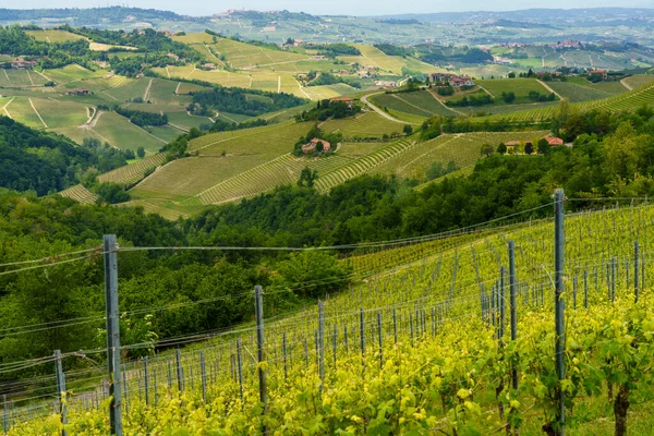 Paisaje Rural Primavera Langhe Cerca Dogliani Provincia Cuneo Piamonte Italia —  Fotos de Stock