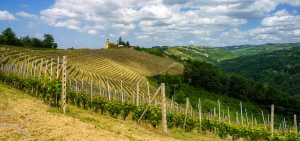 Vidéki Táj Tavasszal Langhe Közelében Dogliani Cuneo Tartomány Piemont Olaszország — Stock Fotó