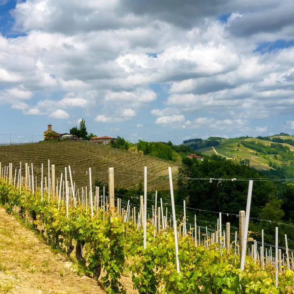 Dogliani, Cuneo ili yakınlarındaki Langhe 'de kırsal alan, Piedmont, İtalya, Unesco Dünya Mirası Bölgesi.