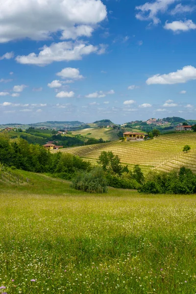 Paisaje Rural Primavera Langhe Cerca Dogliani Provincia Cuneo Piamonte Italia — Foto de Stock