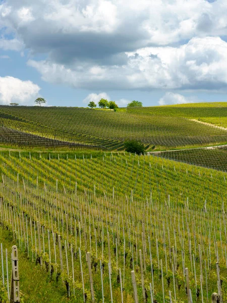 Krajobraz Wiejski Wiosną Langhe Pobliżu Dogliani Prowincja Cuneo Piemont Włochy — Zdjęcie stockowe