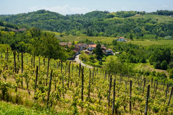 Ländliche Landschaft Frühling Monferrato Der Nähe Von Rivalta Bormida Provinz — Stockfoto