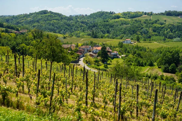 Venkovská Krajina Jaře Monferratu Rivalta Bormida Provincie Alessandria Piemont Itálie — Stock fotografie