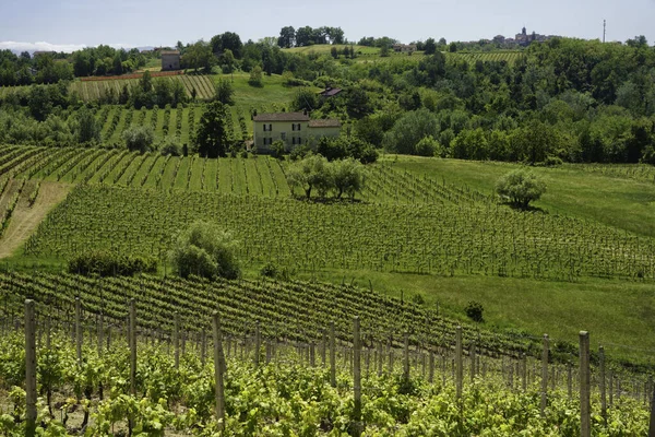 Krajobraz Wiejski Wiosną Monferrato Pobliżu Rivalta Bormida Prowincja Alessandria Piemont — Zdjęcie stockowe