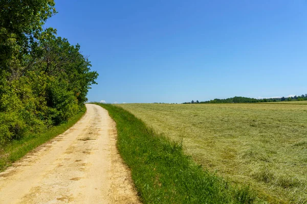 Rivalta Bormida Yakınlarındaki Monferrato Kırsal Alan Alessandria Ili Piedmont Talya — Stok fotoğraf