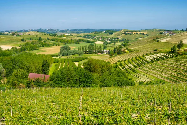 Vinhas Monferrato Perto Nizza Monferrato Província Asti Piemonte Itália Primavera — Fotografia de Stock