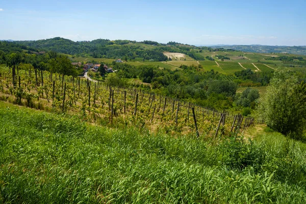 Krajobraz Wiejski Wiosną Monferrato Pobliżu Rivalta Bormida Prowincja Alessandria Piemont — Zdjęcie stockowe