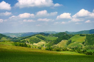 Oltrepo Pavese, Pavia, Lombardy, İtalya 'nın Zavattarello yakınlarındaki kırsal alanda