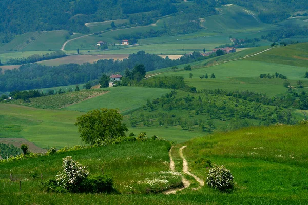 Paesaggio Rurale Primavera Piemonte Vicino Brignano Serra Del Monte Provincia — Foto Stock