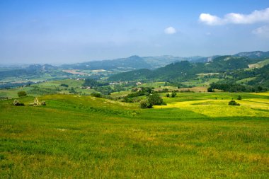 Brignano ve Serra del Monte, Alessandria ili, Piedmont, İtalya yakınlarındaki Piedmont 'ta kırsal alan