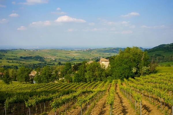 Venkovská Krajina Blízkosti Nibbiano Provincie Piacenza Emilia Romagna Itálie Jaře — Stock fotografie