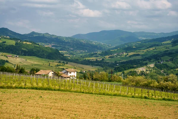 意大利埃米利亚 罗马纳皮亚琴察省Nibbiano附近的农村景观 — 图库照片