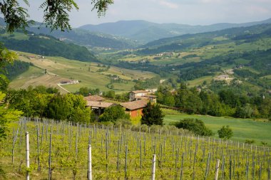 Nibbiano yakınlarındaki kırsal alan, Piacenza ili, Emilia-Romagna, İtalya, ilkbahar zamanı