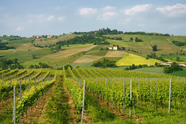 Αγροτικό Τοπίο Κοντά Στο Pianello Val Tidone Επαρχία Piacenza Emilia — Φωτογραφία Αρχείου