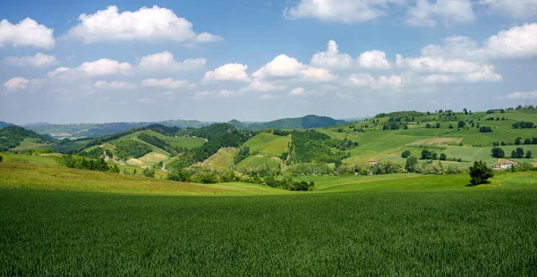 Rural Landscape Springtime Oltrepo Pavese Pavia Province Lombardy Italy Zavattarello — Stock Photo, Image