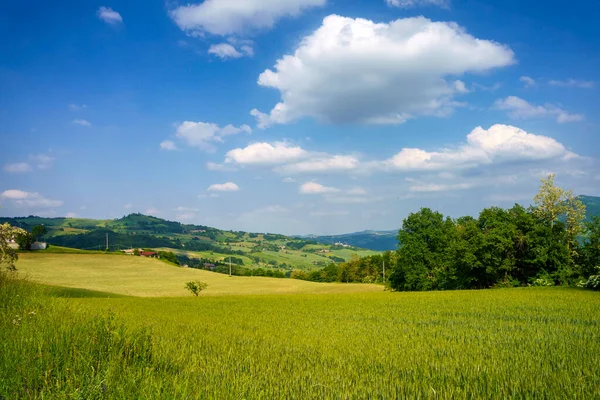 Αγροτικό Τοπίο Κοντά Στο Nibbiano Επαρχία Piacenza Emilia Romagna Ιταλία — Φωτογραφία Αρχείου