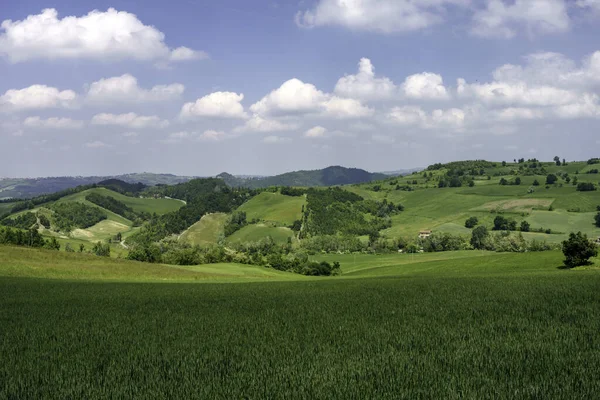 Сельский Пейзаж Весной Олтрепо Павезе Провинция Павия Ломбардия Италия Рядом — стоковое фото