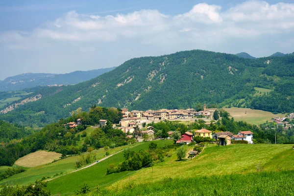 Venkovská Krajina Jaře Piemontu Brignana Serra Del Monte Provincie Alessandria — Stock fotografie