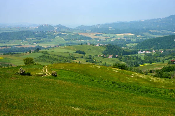 Ländliche Landschaft Frühling Piemont Der Nähe Von Brignano Und Serra Stockfoto