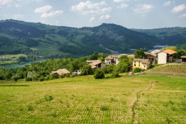 Oltrepo Pavese, Pavia, Lombardy, İtalya 'nın Zavattarello yakınlarındaki kırsal alanda