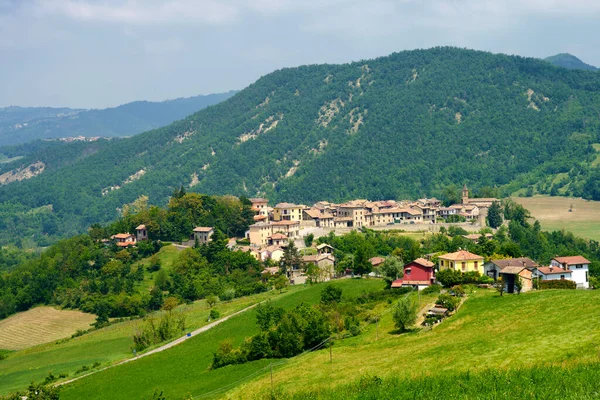 Rural Landscape Springtime Piedmont Brignano Serra Del Monte Alessandria Province — Stock Photo, Image