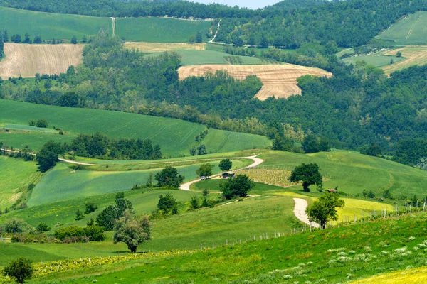 意大利皮埃蒙特Alessandria省Brignano和Serra Del Monte附近皮埃蒙特春季的农村景观 — 图库照片