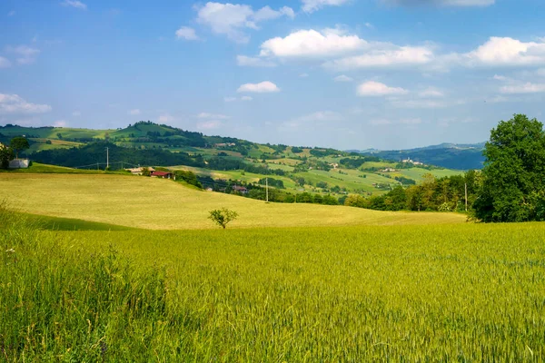 Αγροτικό Τοπίο Κοντά Στο Nibbiano Επαρχία Piacenza Emilia Romagna Ιταλία Φωτογραφία Αρχείου
