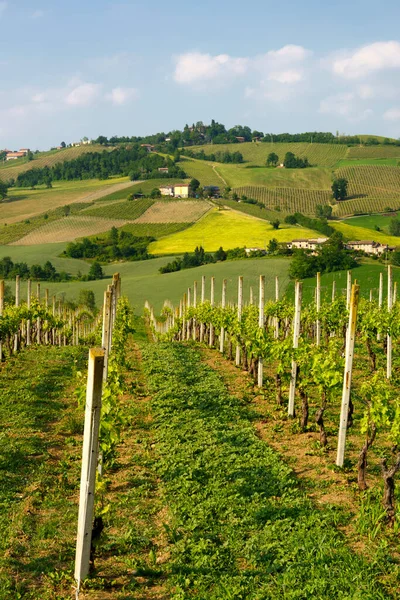 Krajobraz Wiejski Pobliżu Pianello Val Tidone Prowincja Piacenza Emilia Romania — Zdjęcie stockowe