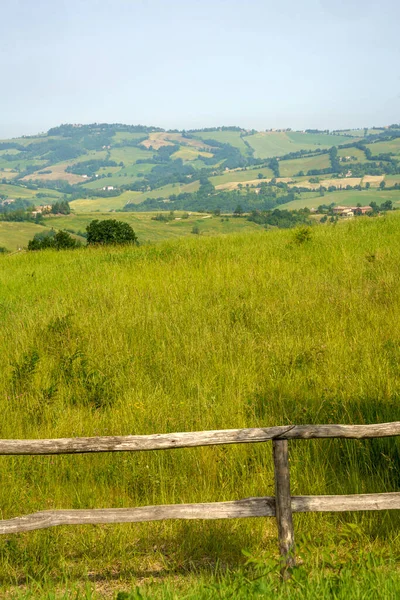 Paysage Rural Près Rivalta Trebbia Province Piacenza Émilie Romagne Italie — Photo