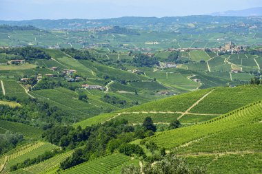 langhe (İtalya yaz peyzaj)