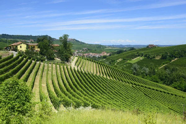 Krajobraz lato w langhe (Włochy) — Zdjęcie stockowe