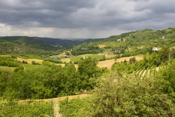 Krajobraz lato w monferrato (Włochy) — Zdjęcie stockowe