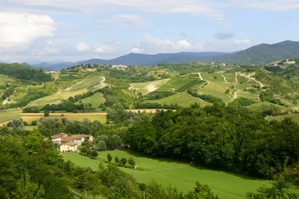 Zomer landschap in monferrato (Italië) — Stockfoto