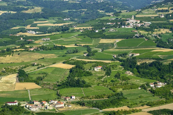 Sommar landskap i langhe (Italien) — Stockfoto