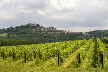 Yaz manzara monferrato (İtalya içinde)
