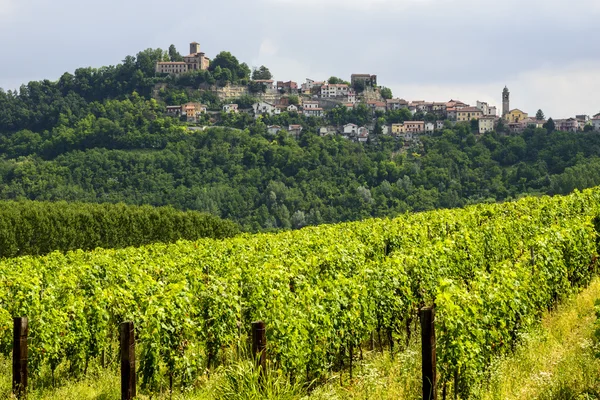 Letní krajina v monferrato (Itálie) — Stock fotografie