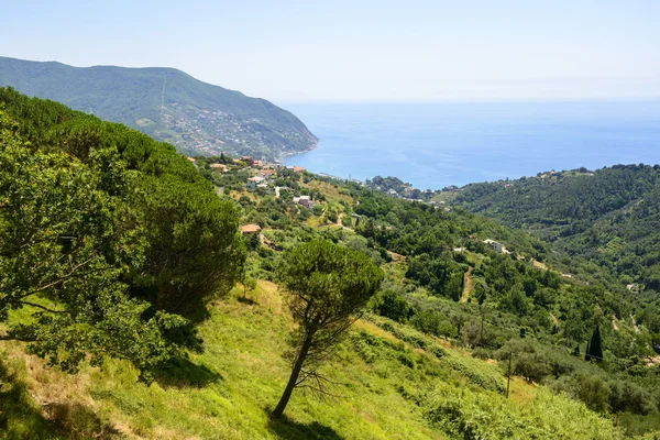 Passo del bracco (Λιγουρία, Ιταλία) — Φωτογραφία Αρχείου