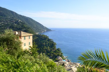 Liguria Rivierası di levante