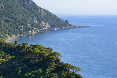 Liguria Rivierası di levante