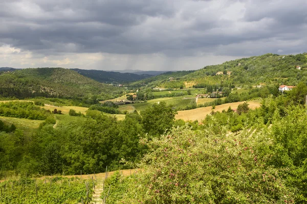 Paisaje de verano en Monferrato (Italia) ) — Foto de Stock