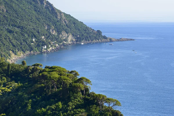 Ligurien, riviera di levante — Stockfoto