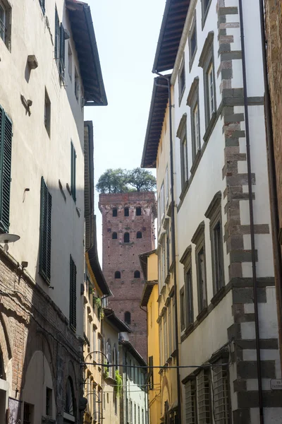 Lucca (toskana, italien) — Stockfoto