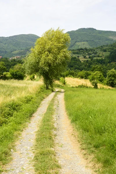 Regnano, Toscana (Italien) — Stockfoto